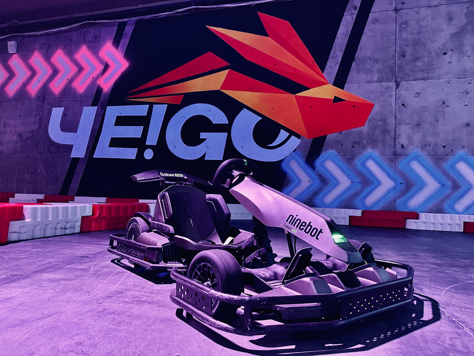 Электрический карт. Набор для картинга a1 gokart kit (красный). Электрокартинг красноярск. Электрокартинг. Электрокартинг казань.